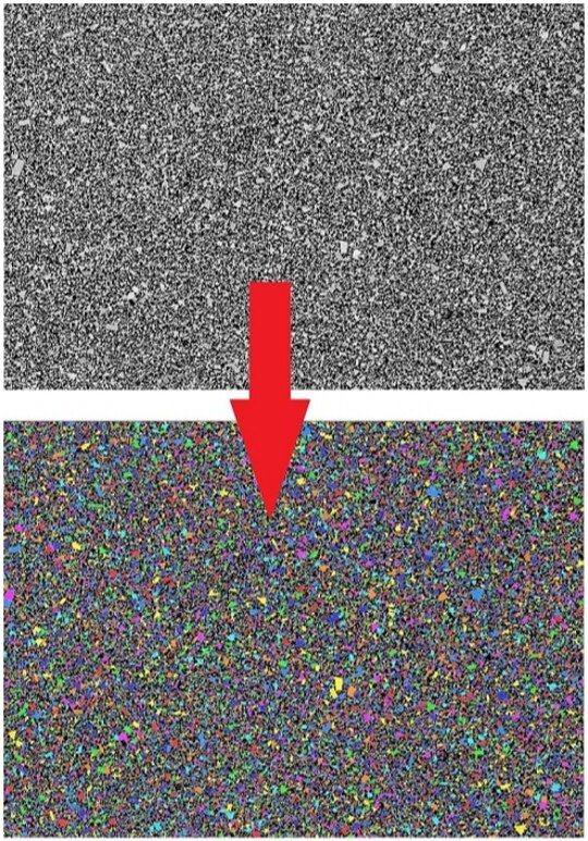 2D SEM  (White) Grain Segmentation